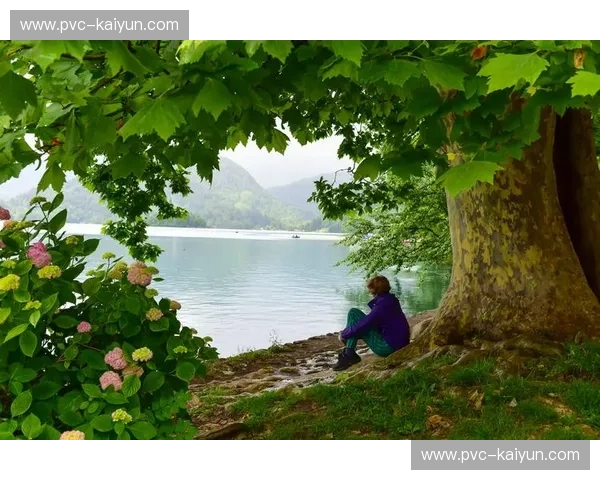 集锦流浪者：把世界做成随身的风景